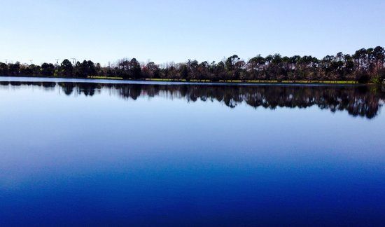 Grassy Waters Preserve